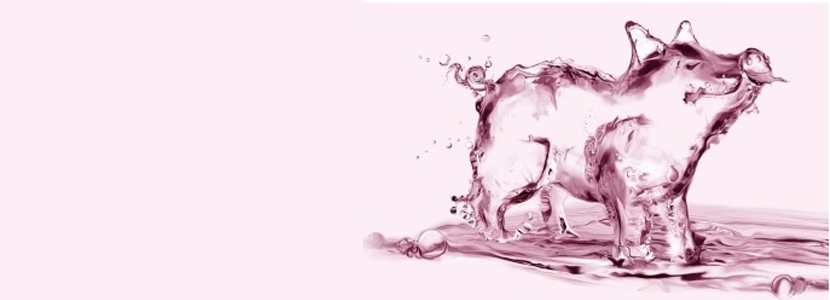INTERPORC publica una guía para la gestión del agua en la explotación porcina
