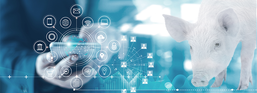 Apoyo del Gobierno a la transformación digital del sector agrario