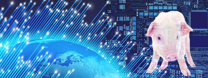 Digitalización: mejorando la competitividad de empresas cárnicas