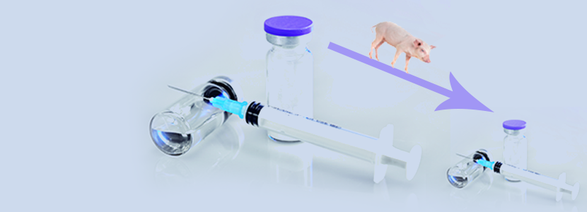 Carne de cerdo: libre de antibióticos bajo los controles alimentarios más exigentes