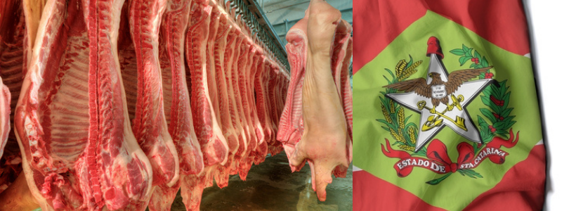 Santa Catarina atinge US$ 1 bilhão com exportações de carne suína