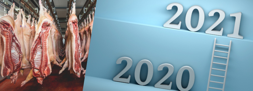 Suinocultura nacional: Levantamento 2020 e projeções para 2021
