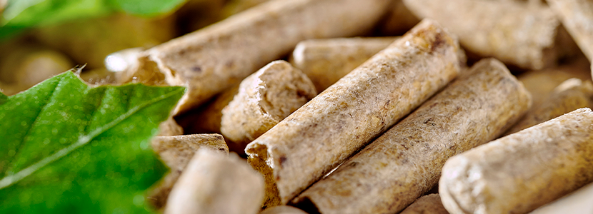 Aspectos prácticos del uso de probióticos en la producción porcina