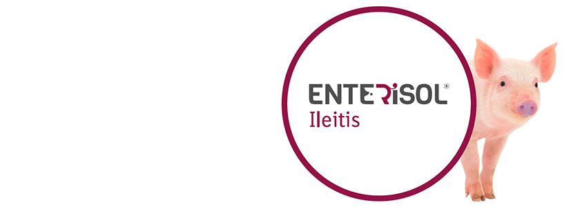 Enterisol Ileitis, autorizado para incluir entre sus atributos la reducción...