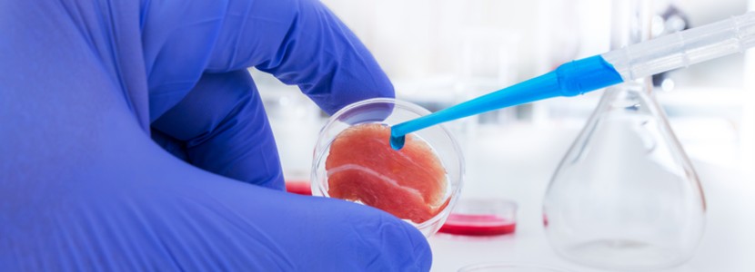 Gran iniciativa uruguaya para promover la transparencia comercial de las carnes