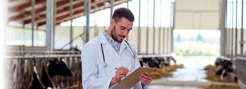 Las visitas de veterinarios a explotaciones serán obligadas antes de abril del 2021