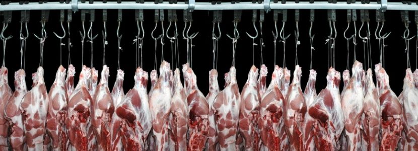 Boletim CEPEA aponta retração na demanda de carne suína em janeiro