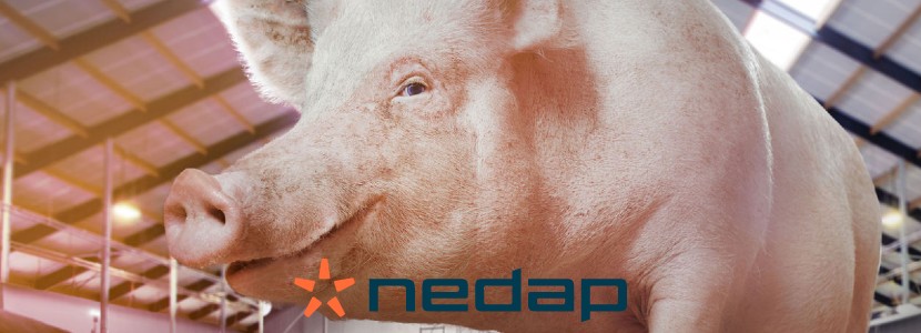 La granja porcina «Agrícola Chorombo» también elige la tecnología de Nedap