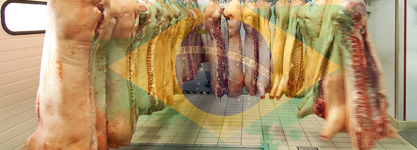 Nuevo destino para la carne de cerdo de Brasil
