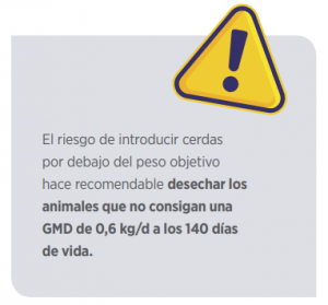 cerdas