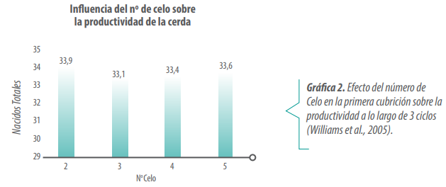 cerda