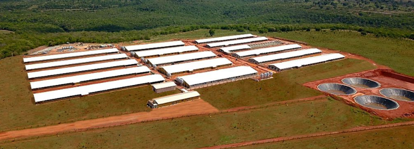 Granja Rio Verde, um marco em projeto da COOASGO para expansão da suinocultura