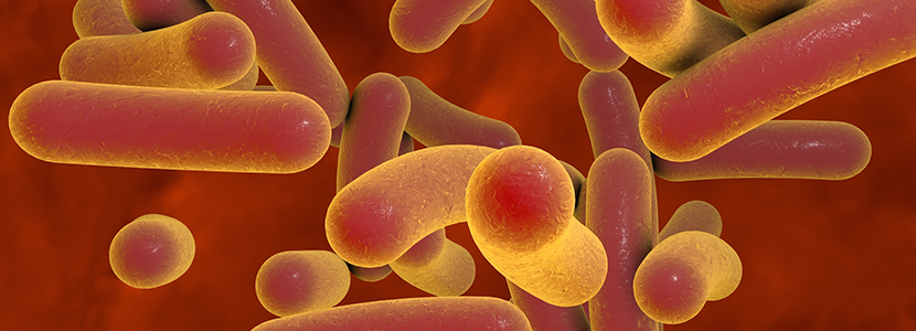 Diagnóstico de diarreas por C. difficile