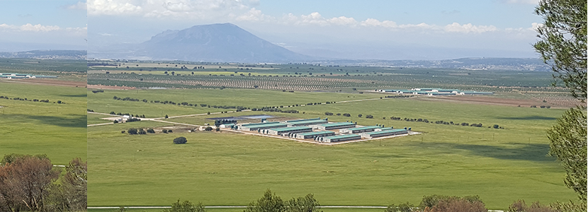 Cefusa promueve grupos de mejora para reducir el consumo de agua en sus granjas