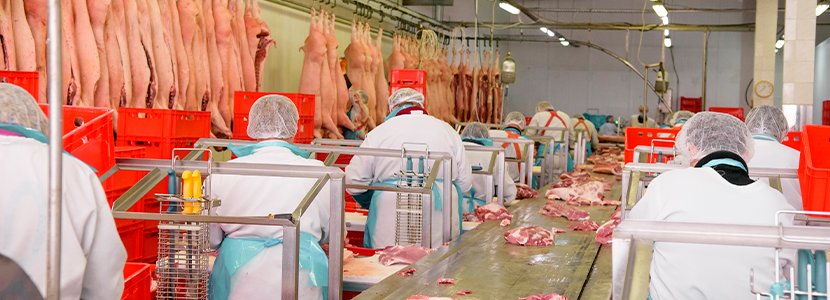 Desinfección de superficies utilizadas en plantas empacadoras de carne de cerdo