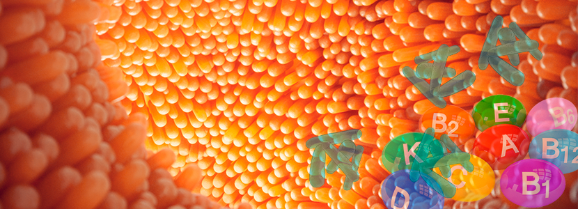 Efecto de simbióticos y vitaminas en lechones recién nacidos y al destete