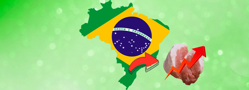 Brasil: Nuevo récord en exportaciones para Santa Catarina