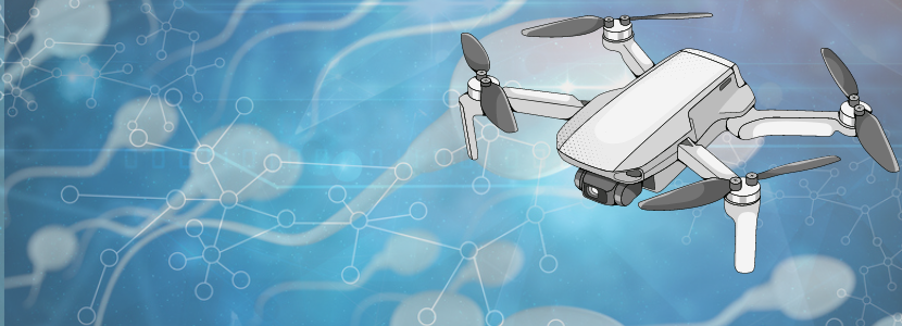 BRF inova e granja integrada recebe carga por drone