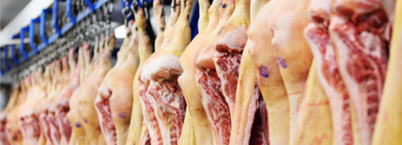 Conab mostra que exportação de carne suína segue em alta e excedente deve ir ao mercado externo