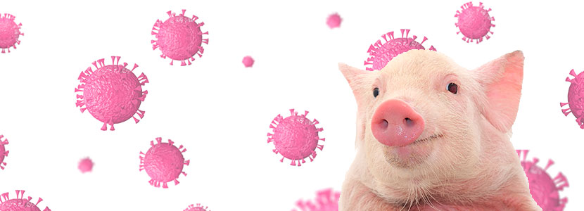 Un informe muestra la reducción del uso de antimicrobianos destinados al sector animal