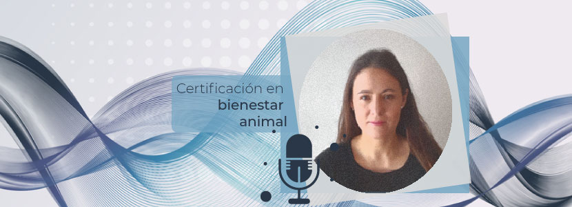 Implementación de la certificación en bienestar animal en Latinoamérica