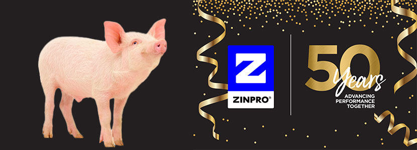 Zinpro conmemora su 50 aniversario con la celebración del Día de la Fundación