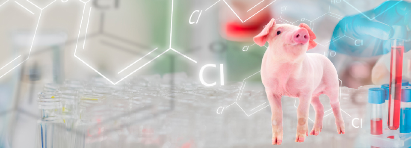 Nuevos métodos de detección de residuos antibióticos en animales vivos