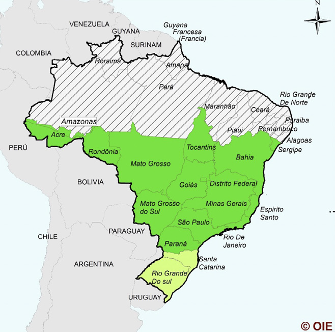Plano Brasil livre da Peste Suína Clássica em ação
