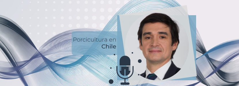 Porcicultura en Chile: situación actual y perspectivas futuras