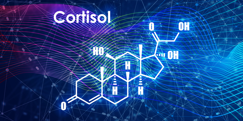 a secreção de hormônios glicocorticóides, a saber, o cortisol.