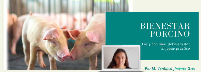 Los 5 dominios del bienestar animal, enfoque práctico
