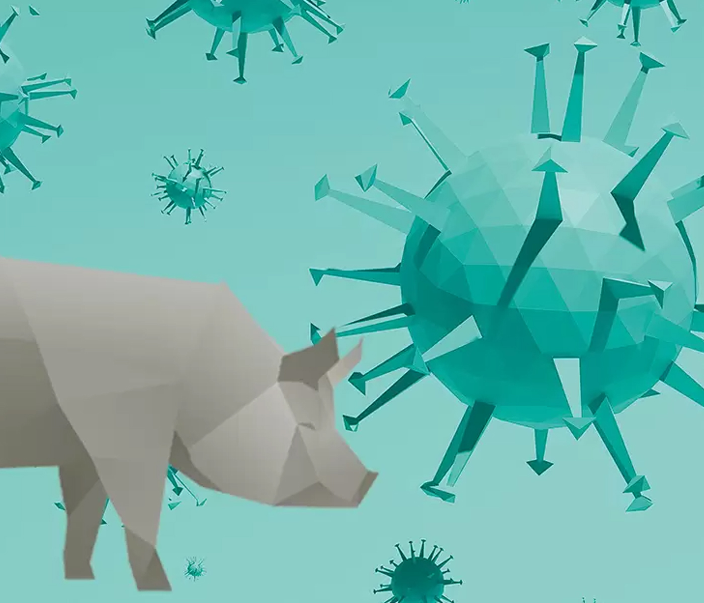 Impacto del virus pandémico de la influenza porcina