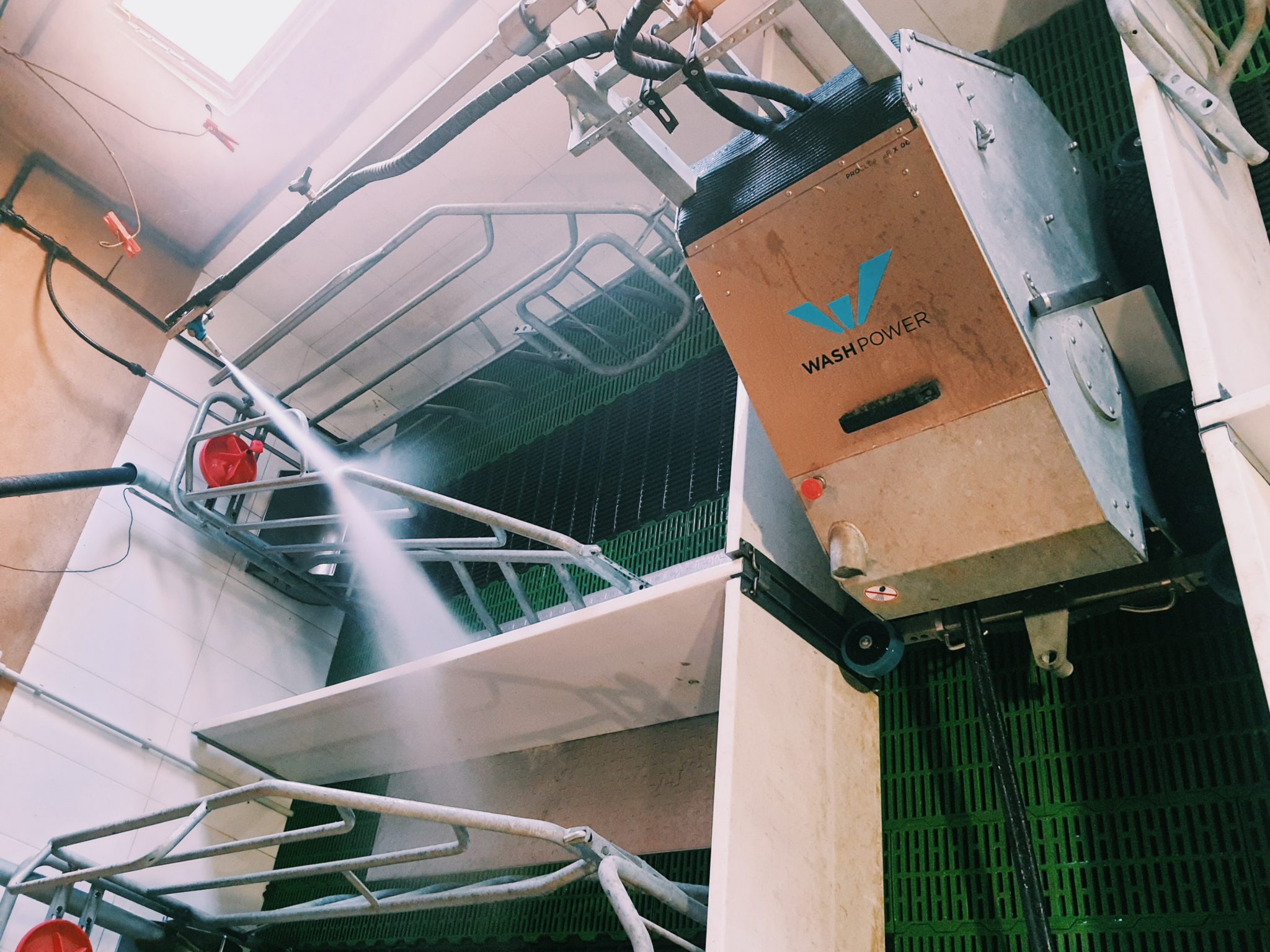 Limpieza eficiente de granjas porcinas con PROCLEANER X100