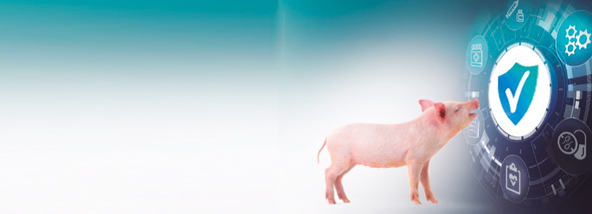 Influenza porcina – Controlando su impacto en la reproducción y en la progenie