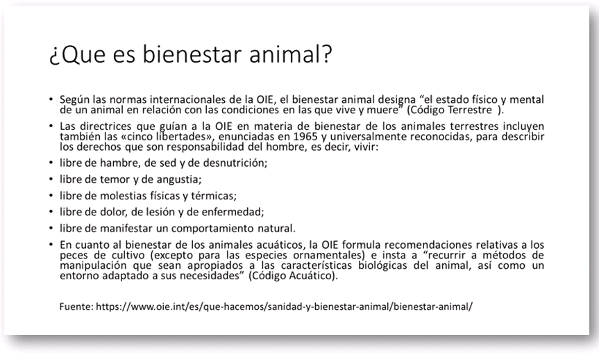 bienestar animal