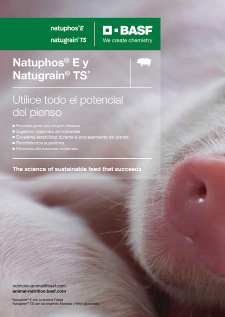 Natugrain® TS para mejorar el aporte de nutrientes de la cerda reproductora  y los lechones