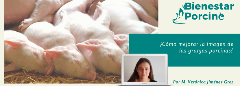 ¿Cómo mejorar la imagen de las granjas porcinas?