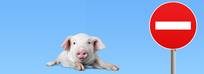 MAPA anuncia proibição total à entrada de derivados de suínos em viagens ao Brasil
