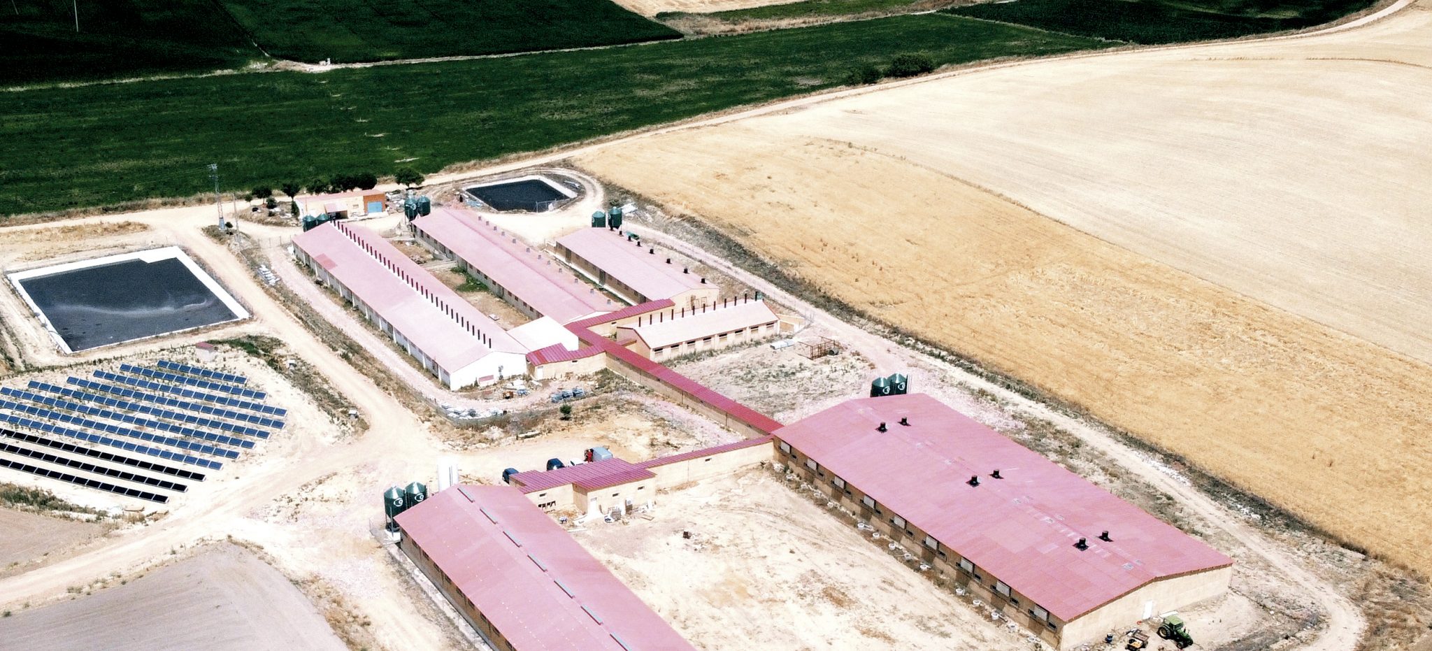 Limpieza eficiente de granjas con PROCLEANER X100 de AVIPORC