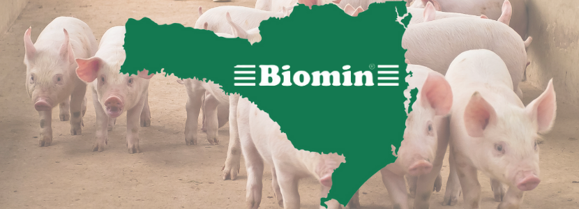 Biomin firma parceria com a Oestevet e fortalece presença na produção catarinense de proteína animal