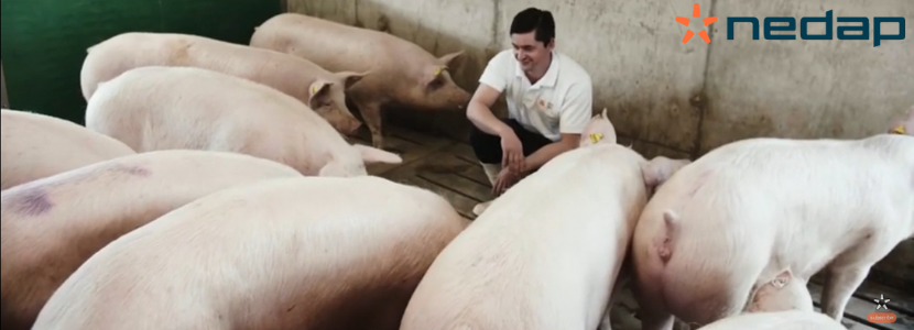 De la granja porcina tradicional a la automatización, la experiencia de Héctor Bilbao