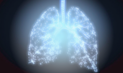 Os impactos das doenças respiratórias na suinocultura