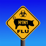 A Influenza suína também faz parte do complexo das doenças respiratórias dos suínos