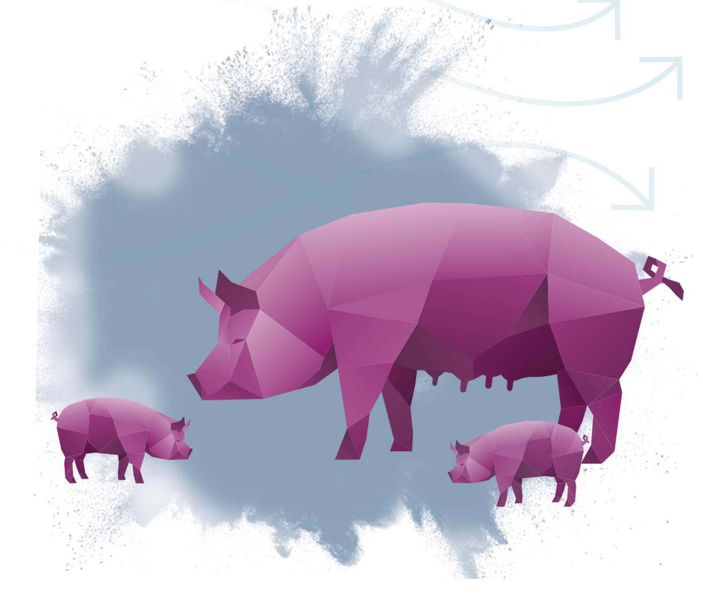 Calidad del aire y dinámicas de infección en destetes porcinos