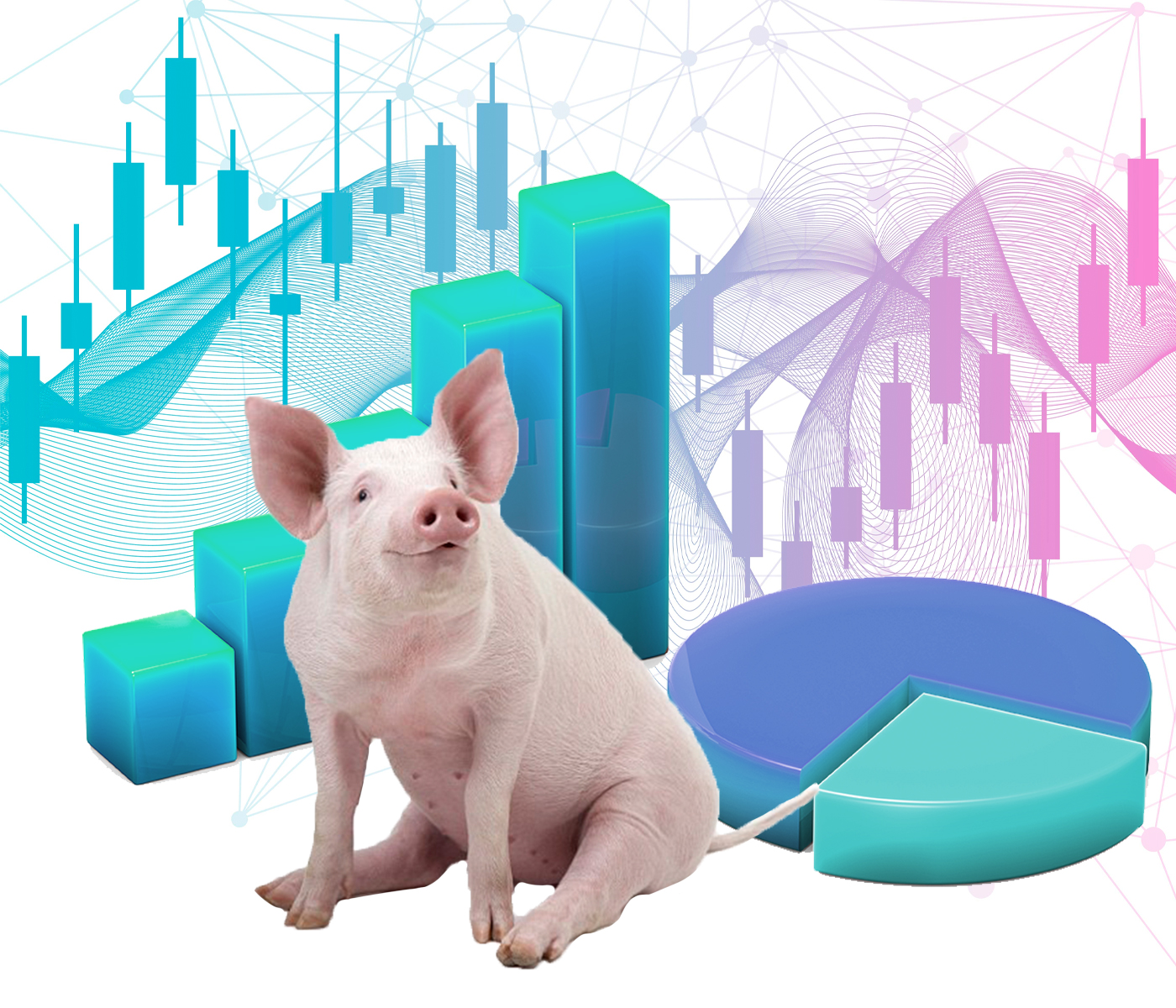 El sector porcino en cifras – Una década evolucionando