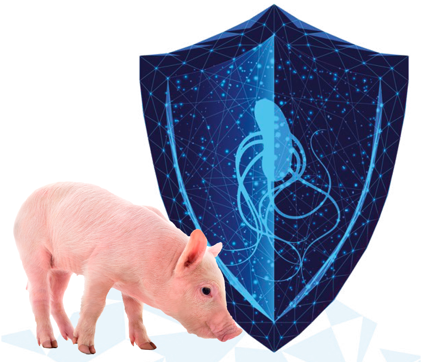 Diagnóstico y control de Salmonella en porcino