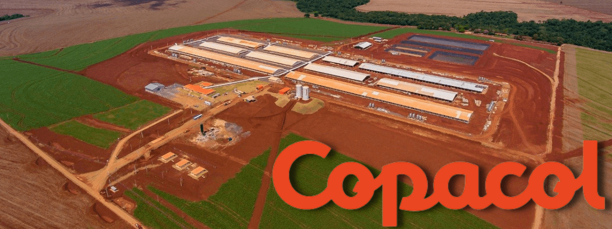 Cooperativa Copacol inaugura unidade de produção de suínos de R$ 120 milhões