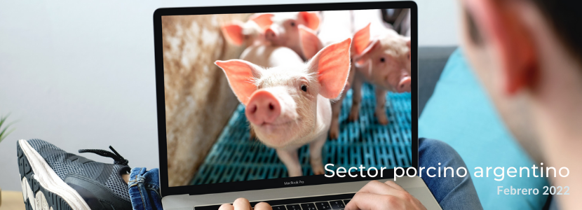 Sector porcino argentino: Febrero 2022