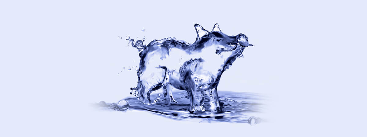 A água na produção animal: um nutriente esquecido?