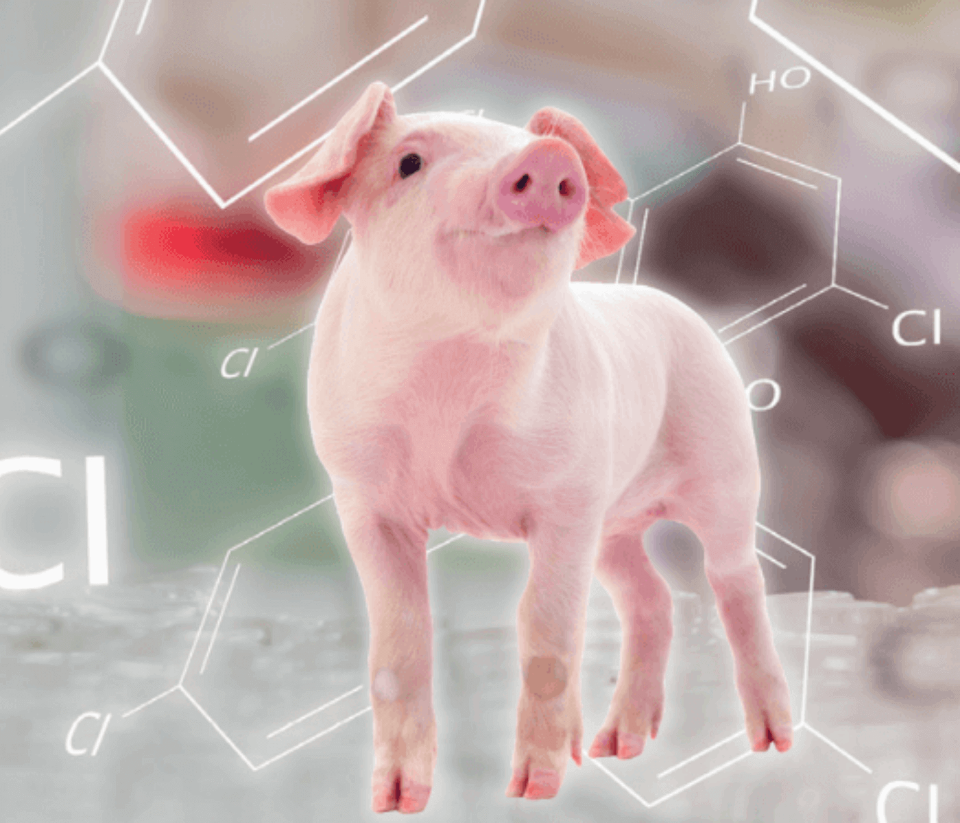 Novos métodos de detecção de resíduos antibióticos em animais vivos